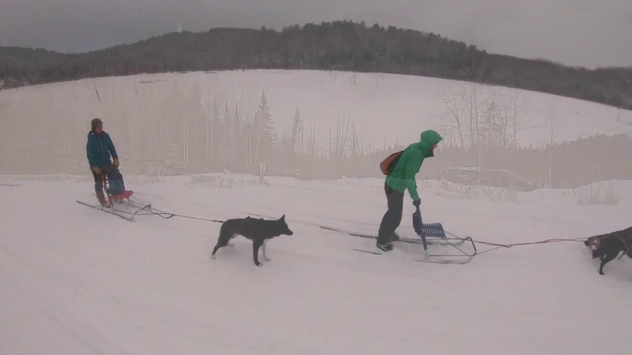 Kicksled Mushing