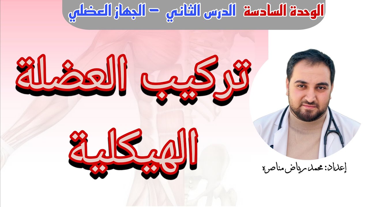 6.2.1 تركيب العضلات الهيكلية | الجهاز العضلي وبعض مشكلاته.
