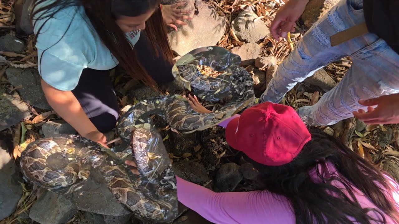 🔴Qué gran susto le sacó la serpiente a Wendy 