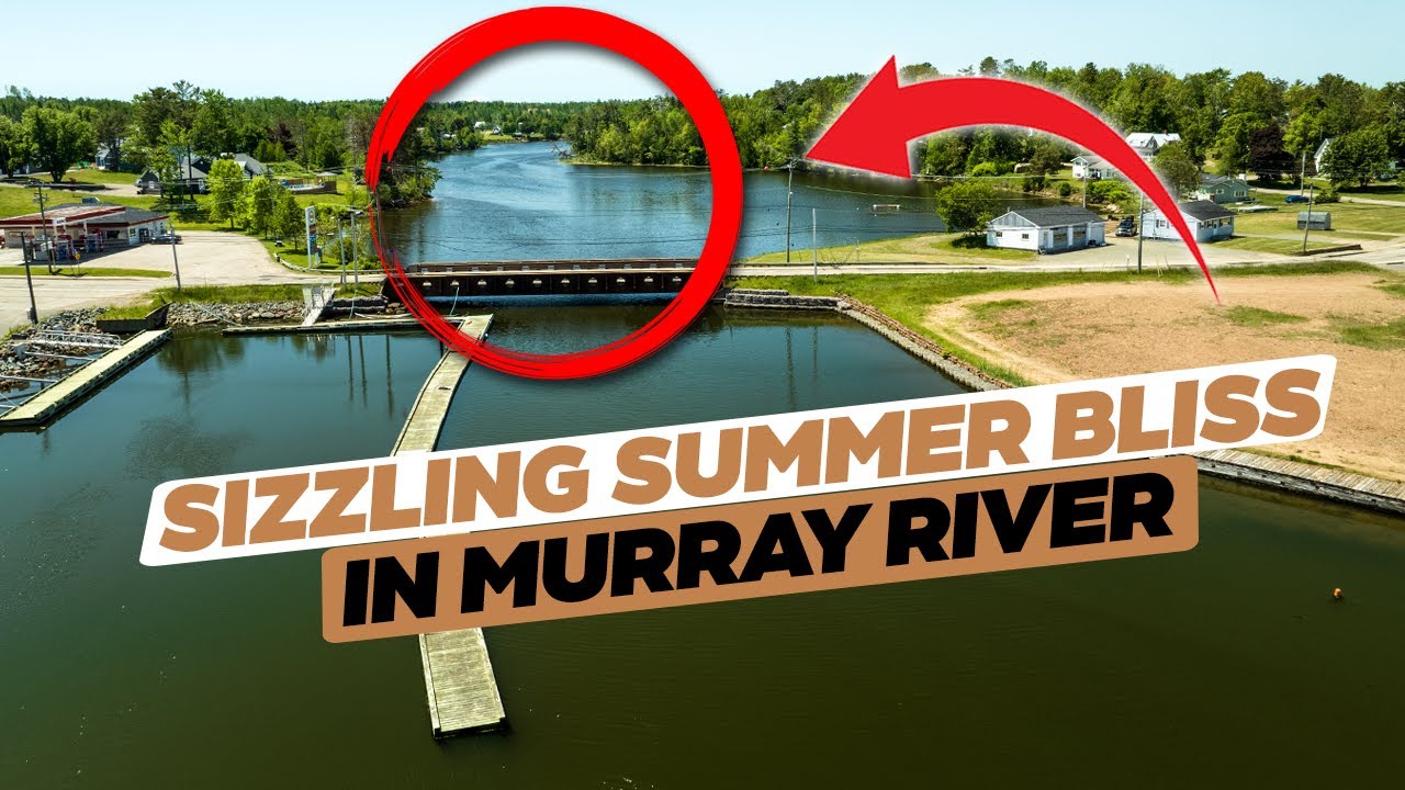Murray River in the Summer