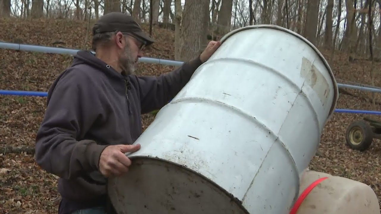 Unusual weather forces family of Illinois maple syrup producers to adjust