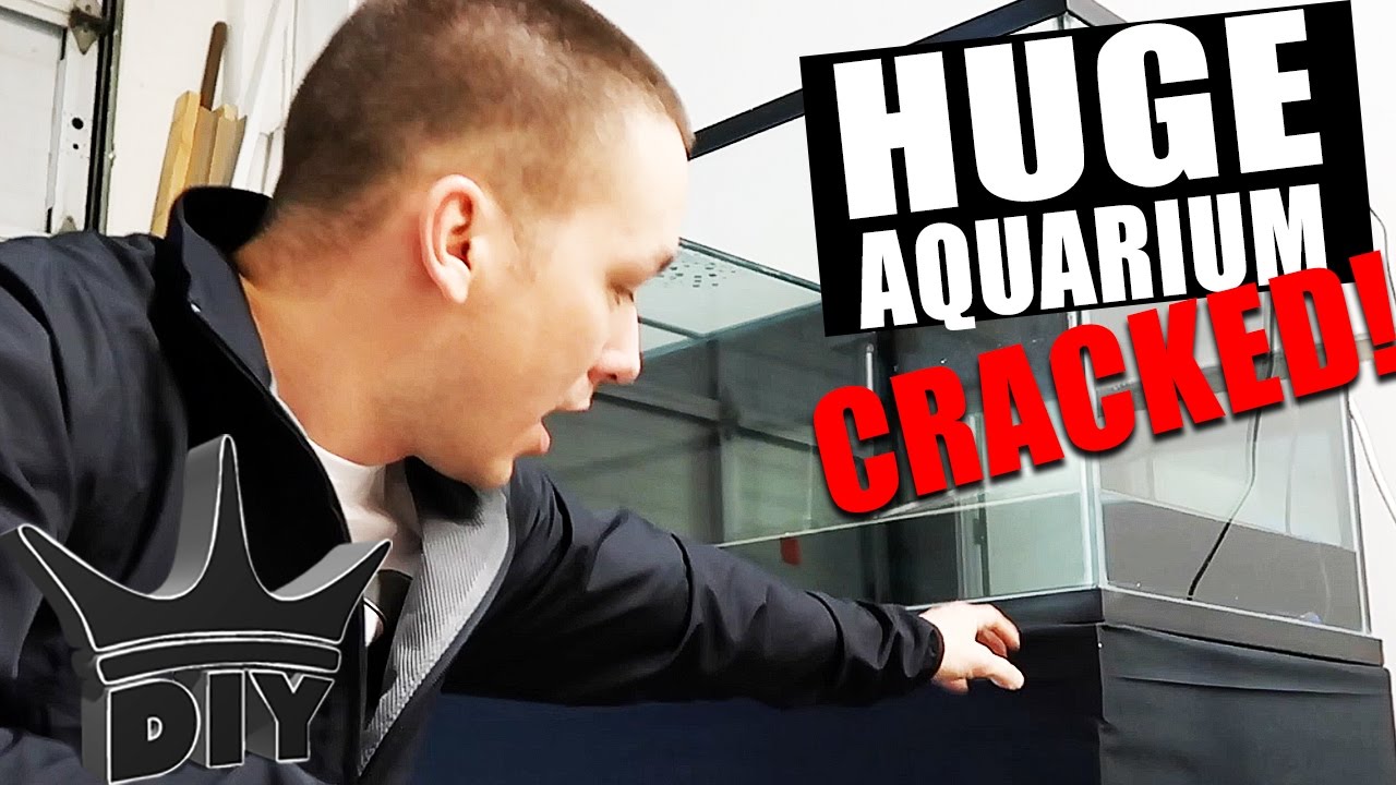 AQUARIUM DISASTER! Every fish keepers WORST NIGHTMARE!