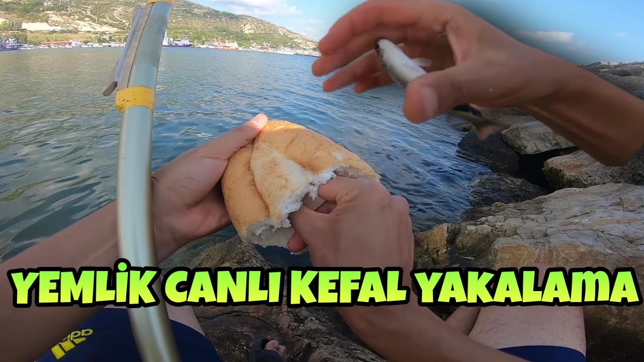 CANLI KEFAL NASIL YAKALANIR. - How To Catch Mullet.