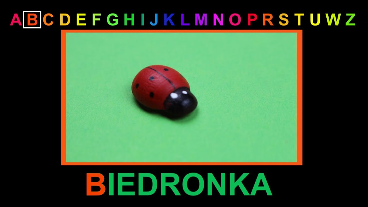 ALFABET - Litera B - film edukacyjny ze zdjęciami dla dzieci po polsku. Nauka czytania. AbcZabawa