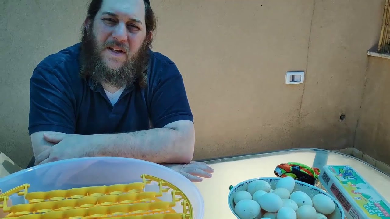 מביצה לתרנגולת ב-21 יום 🥚 פרק 2 - מתחילים בהדגרה