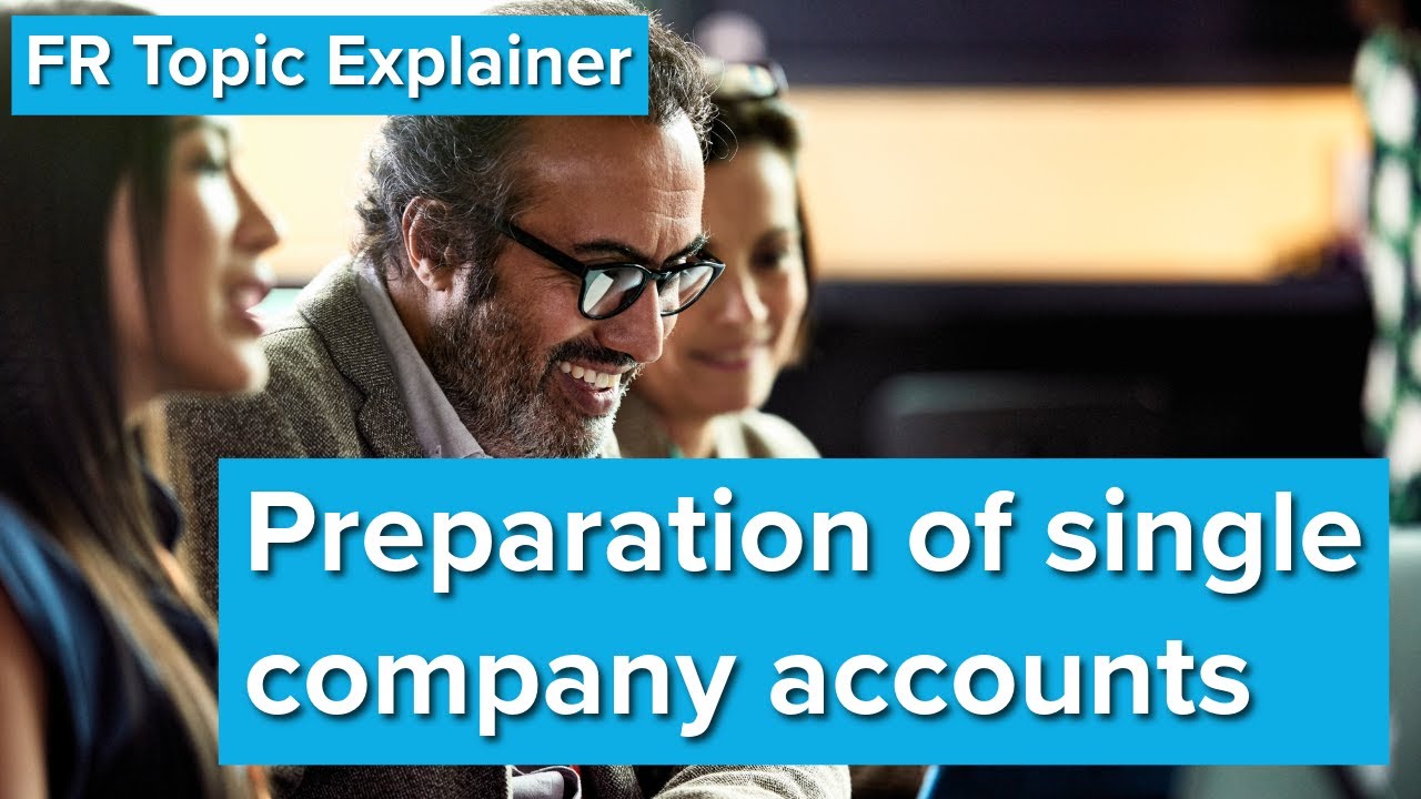 FR Topic Explainer - Preparation of single company accounts