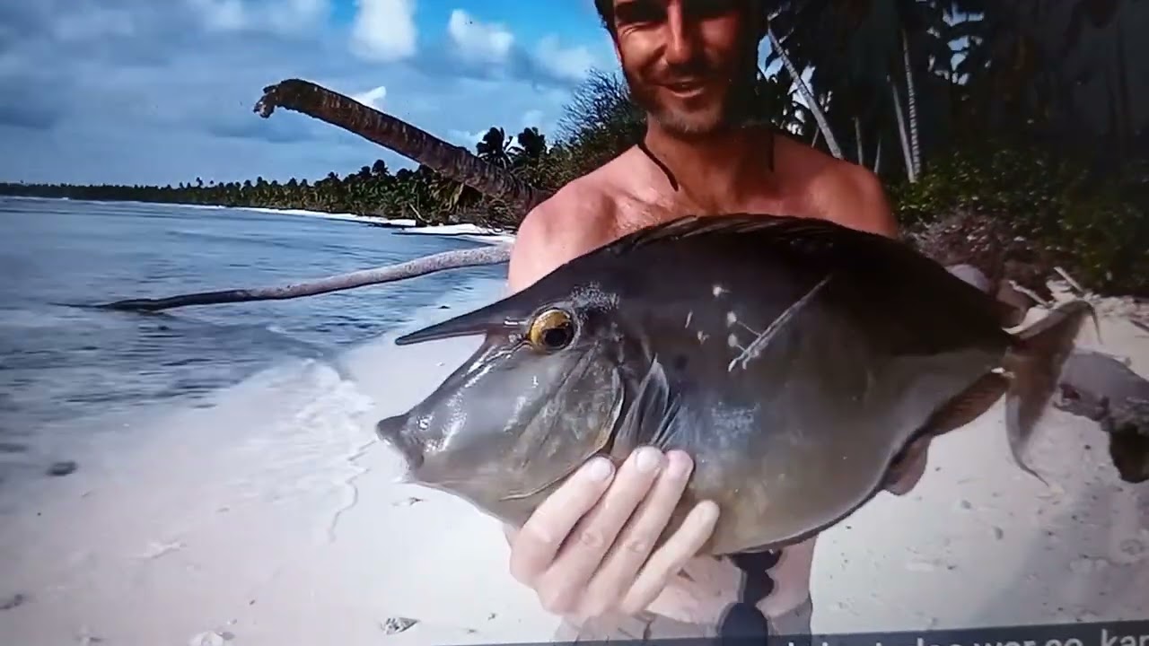 এভাবে কি মাছ ধরেছেন