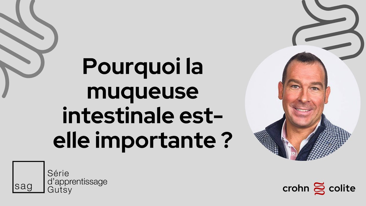 Pourquoi la muqueuse intestinale est-elle importante ?
