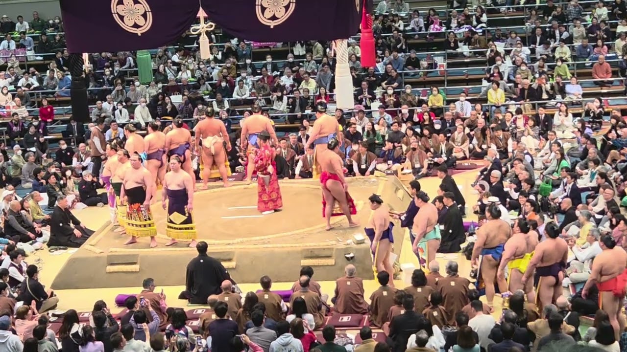 Sumos Assemble around the dohyo ring at Grand osaka Sumo tournament in  Osaka Edion Arena in Japan!!