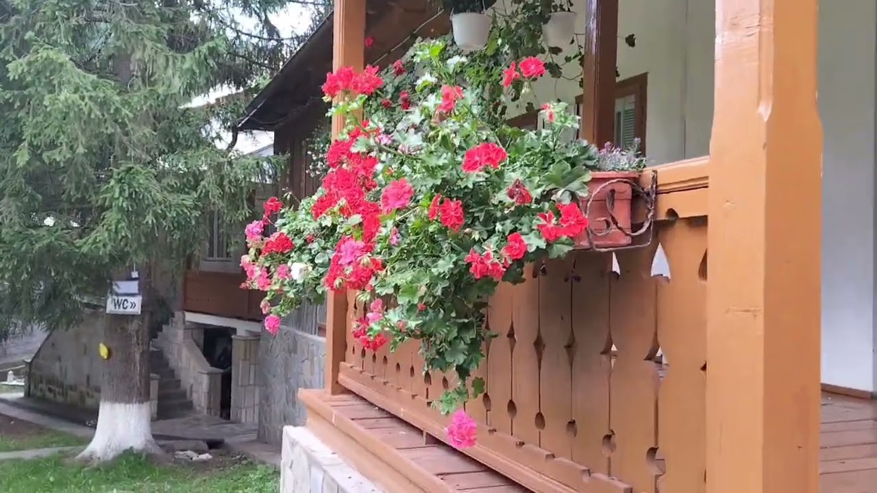 Mănăstirea cu cea mai frumoasa grădină din România.