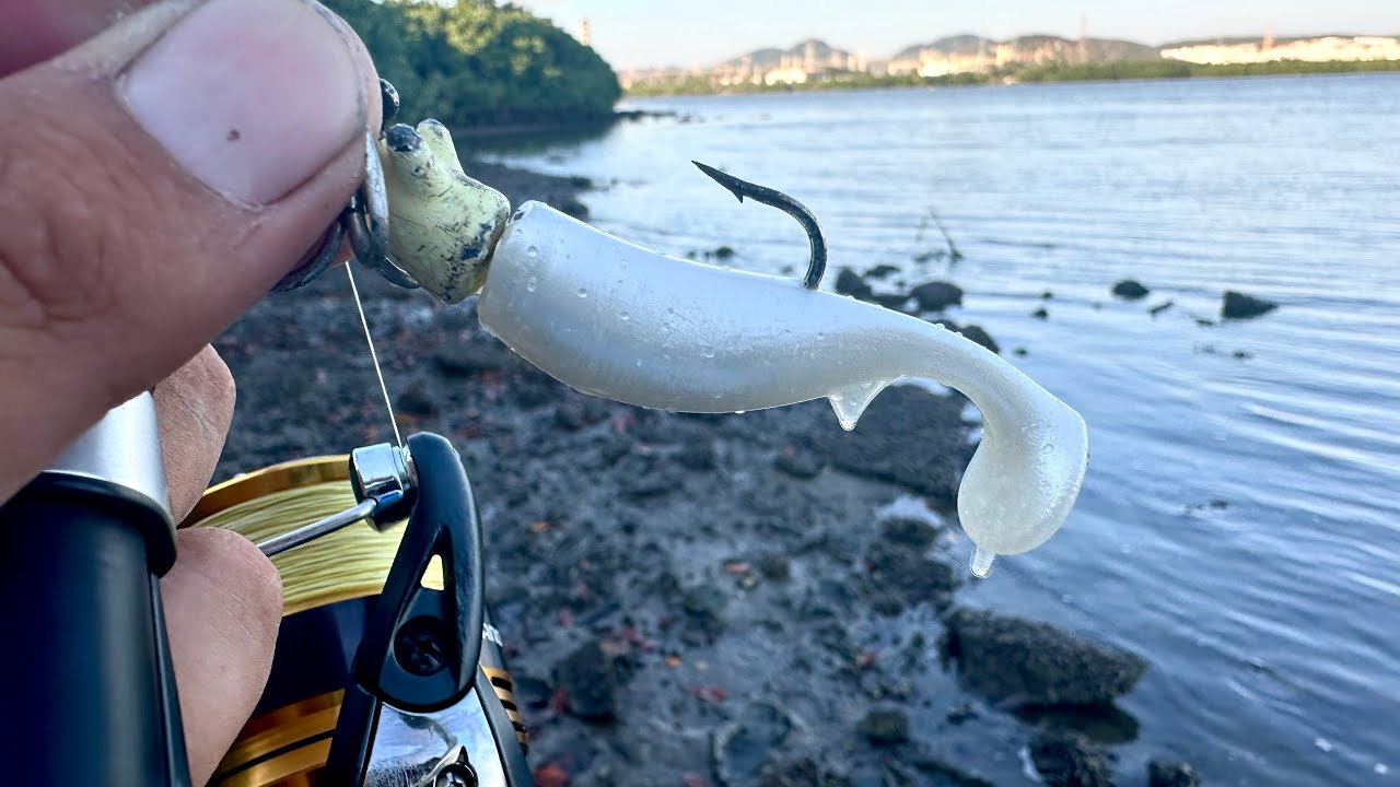 COMO PESCAR de ORILLA con PLÁSTICOS || pescando PARGOS. 