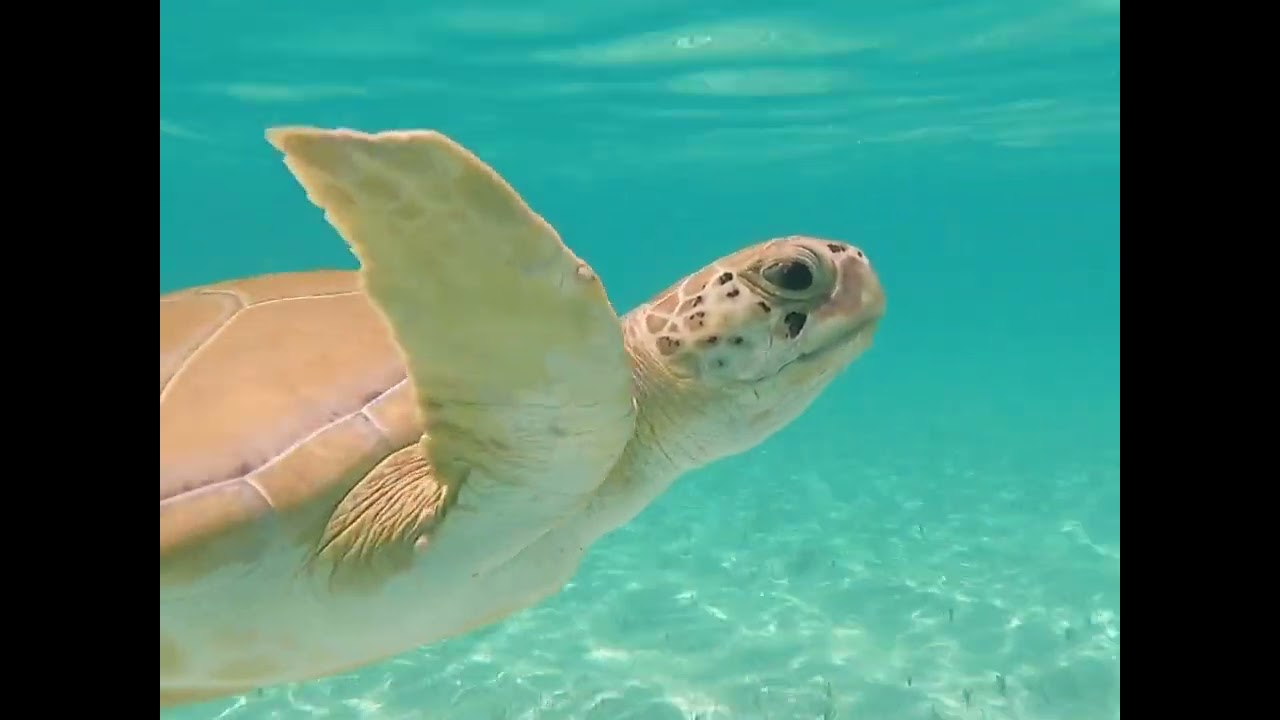Exuma Bahamas 2022