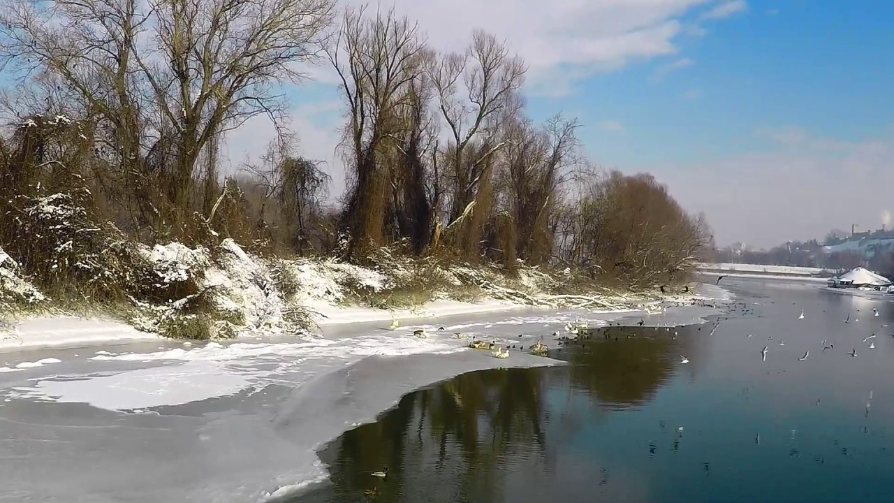Across the Wood and into the River