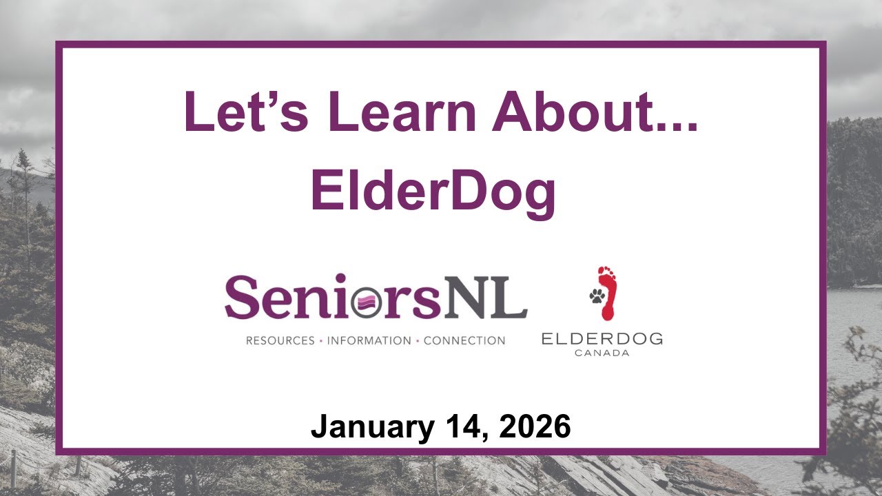 Lets Learn About... ElderDog