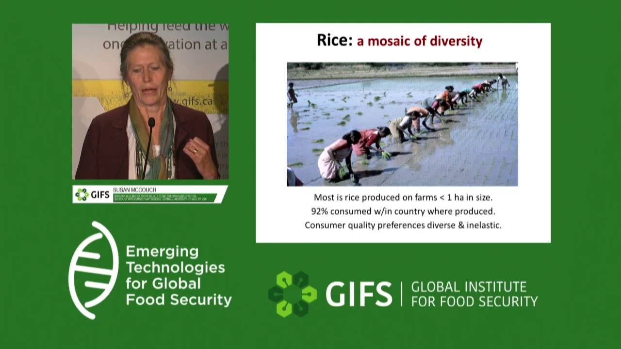 Biodiversity and Food Security by Susan McCouch
