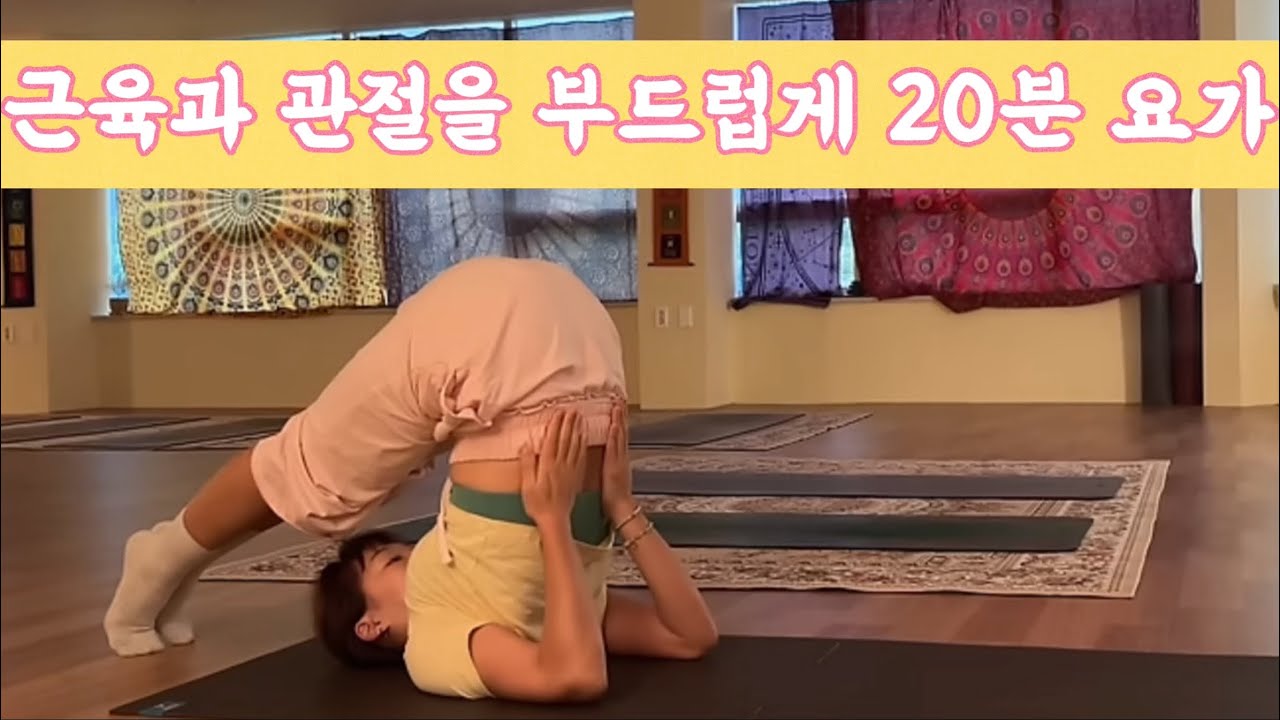 [서리요가#538] 밤사이 굳은 몸을 풀어주는 20분 요가/ 아침요가, 스트레칭