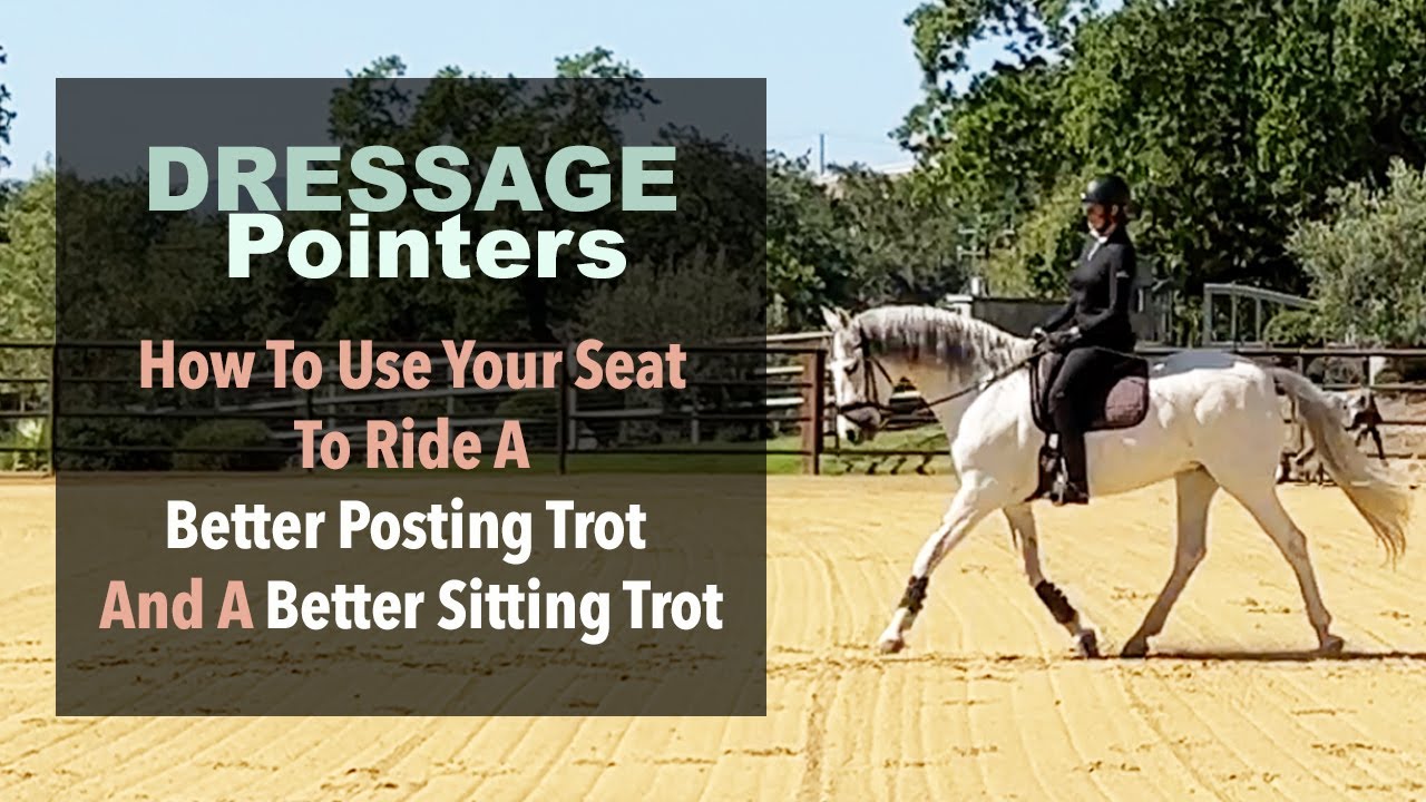 Dressage Pointers: How To Use Your Seat To Ride A Better Posting Trot And A Better Sitting Trot