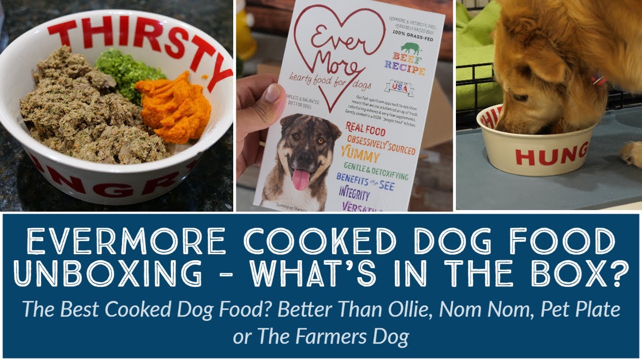 Evermore Pet Food Cooked Dog Food Initial Impressions & Unboxing