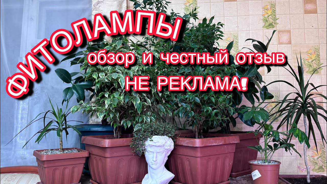 ФИТОЛАМПЫ - результаты тестирования.