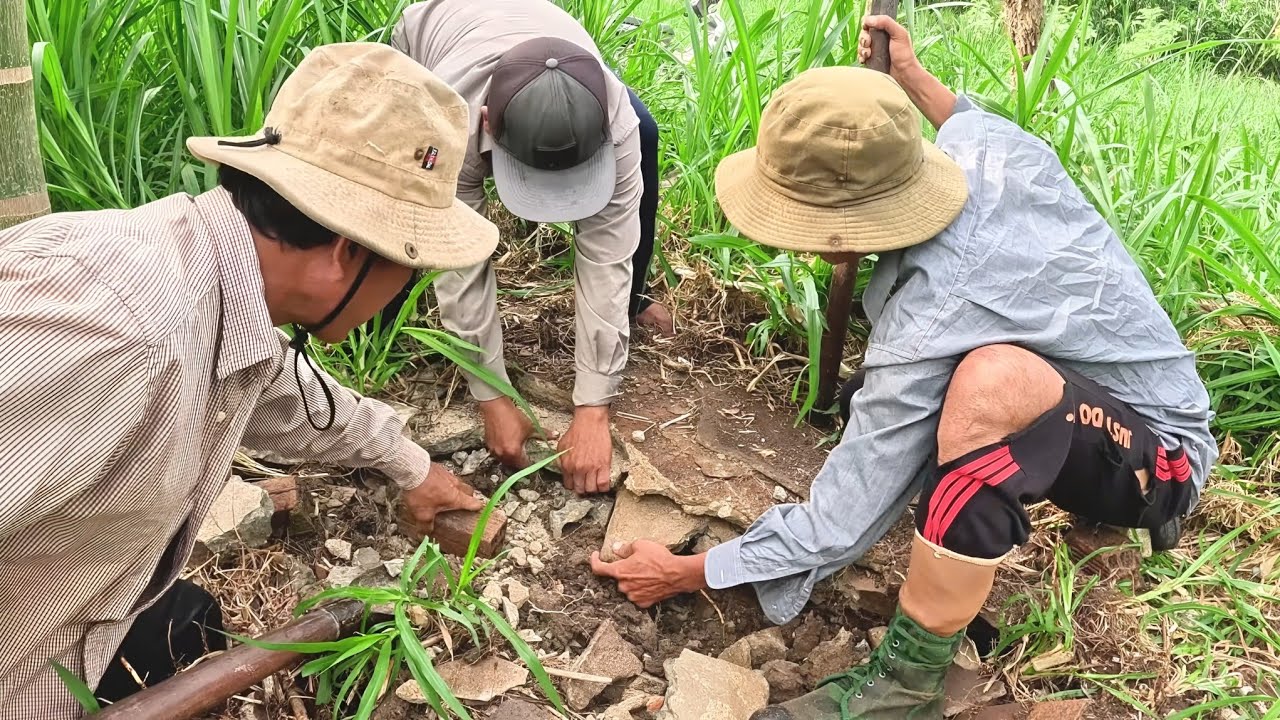 Cô Chủ Vườn Hoảng Hồn khi Phát Hiện Con Rắn Màu Đen Trong Lúc Đi Cắt Cỏ || Giang Ca SB # 100