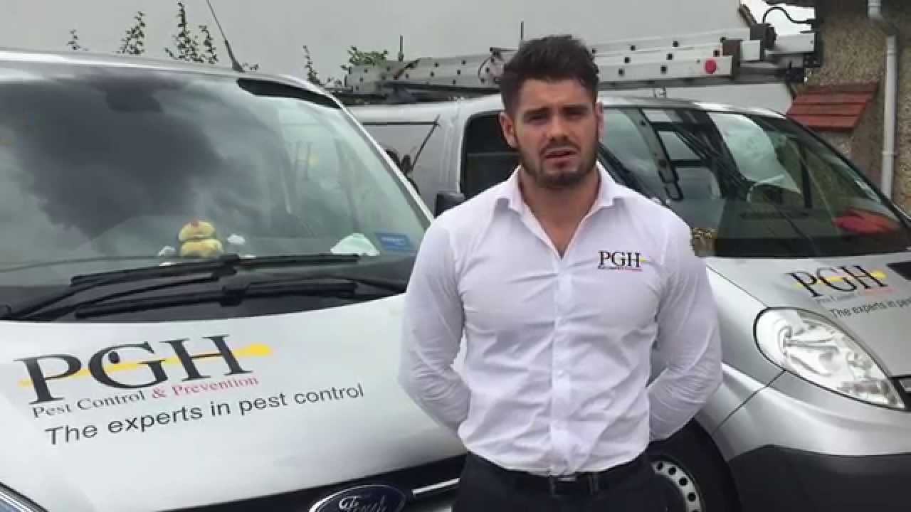 PGH Pest Control - South East