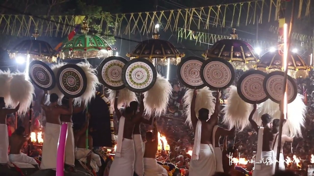 പെരുവനം പൂരം 2025 #pooram #aanapremi #aana #chendamelam