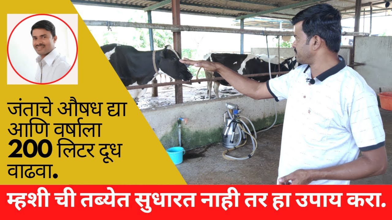 जंताचे औषध जरूर द्या.