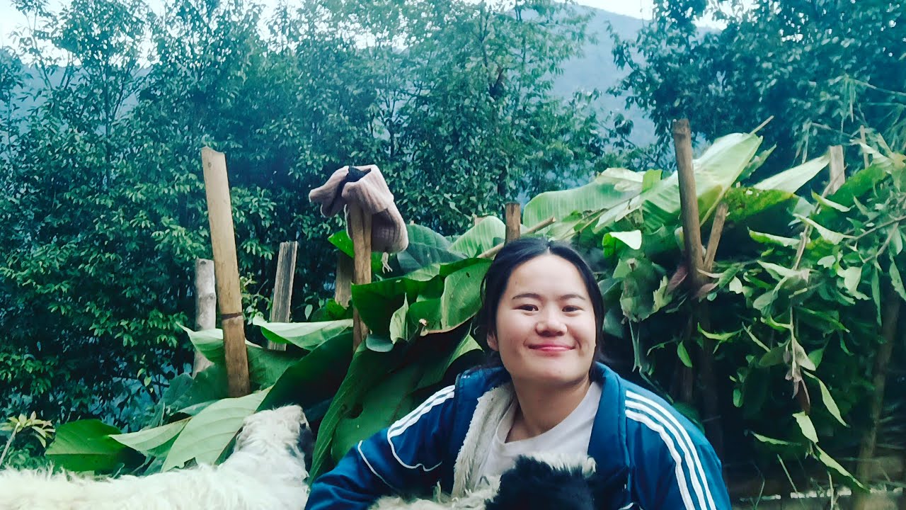 hi welcome guys support me🙏🙏❤🙏❤😘