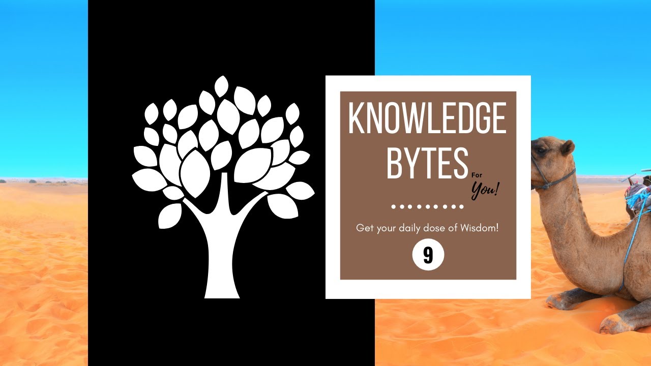 9. Knowledge Bytes - Amazing Facts