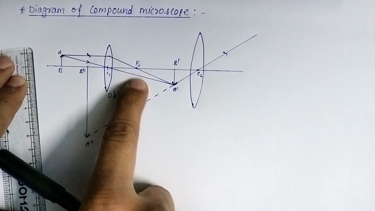 compound microscope easy diagram, Ray optics, physics, how to make diagram of compound microscope