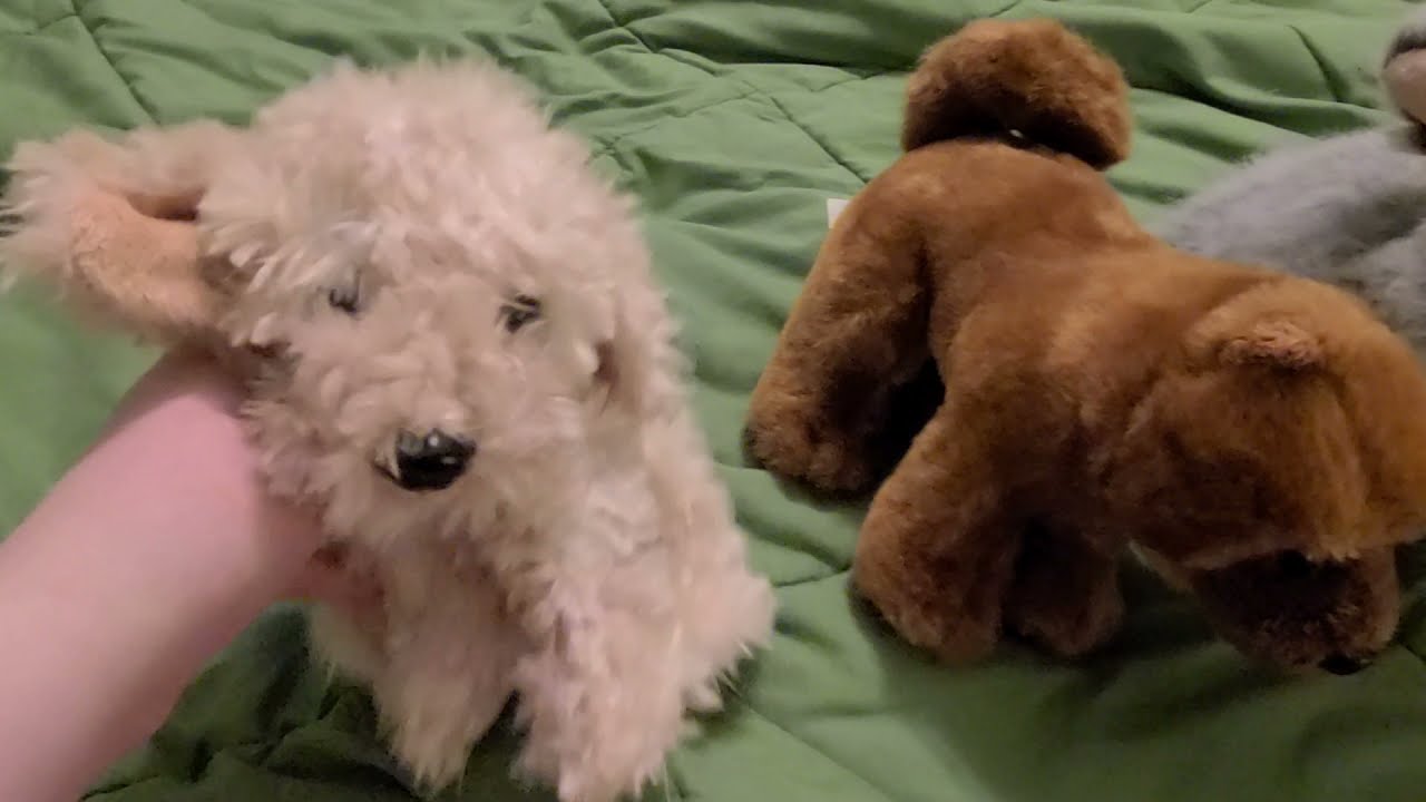 New Webkinz! (Cockapoo Puppies!!!)