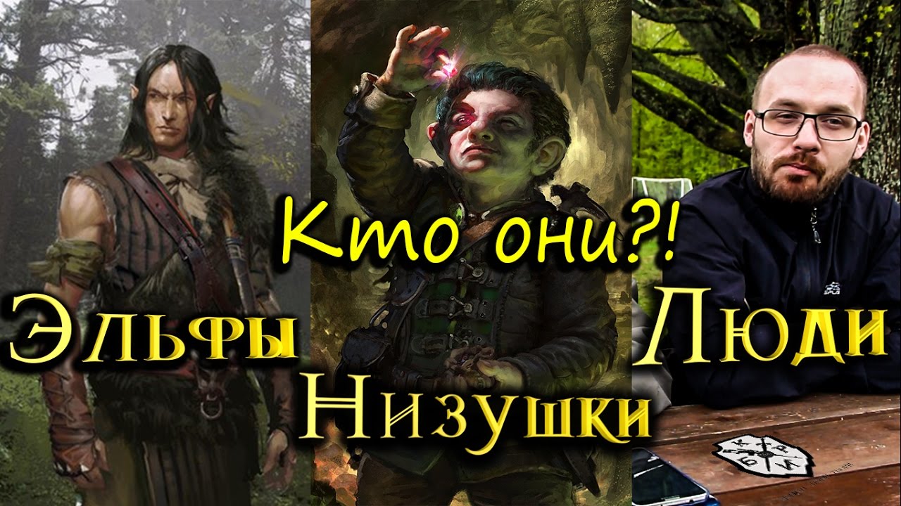 Эльфы, низушки, люди. Кто они? Мир Ведьмака.