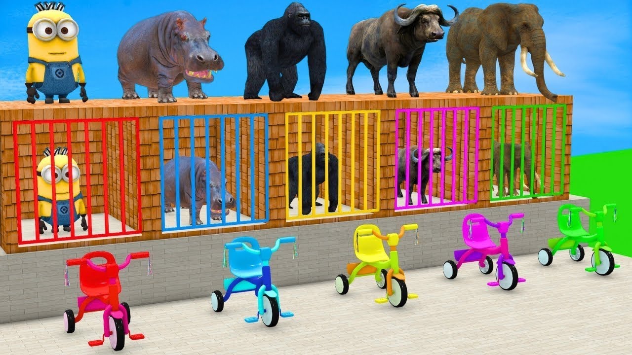 Long Slide Game With Cow Elephant Gorilla Hippopotamus Tiger - 3d Animal Game - Funny 3d Animals