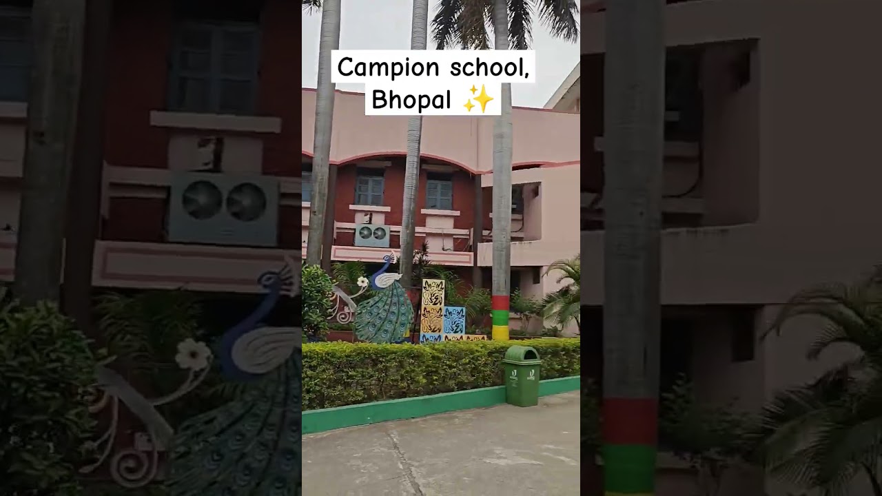 #bhopal #campion #school #2023 #instagram #love #memories
