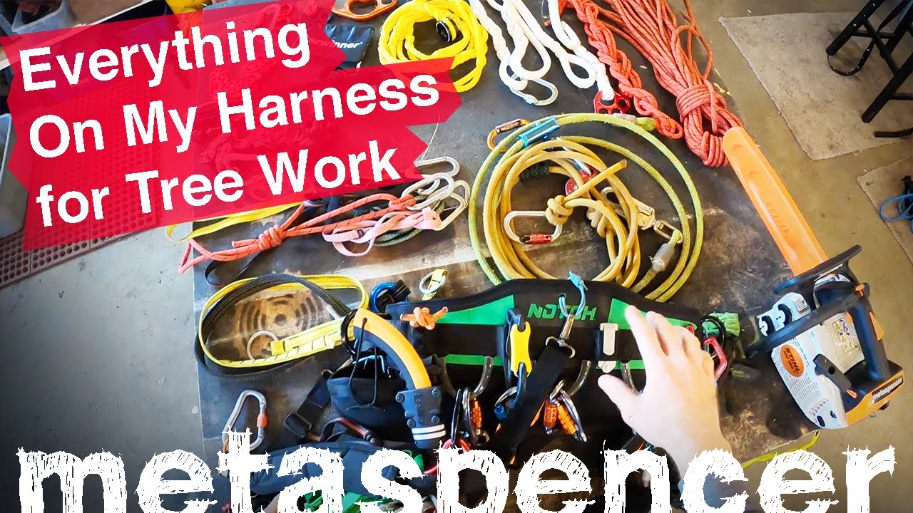 Everything on My Harness for Tree Work