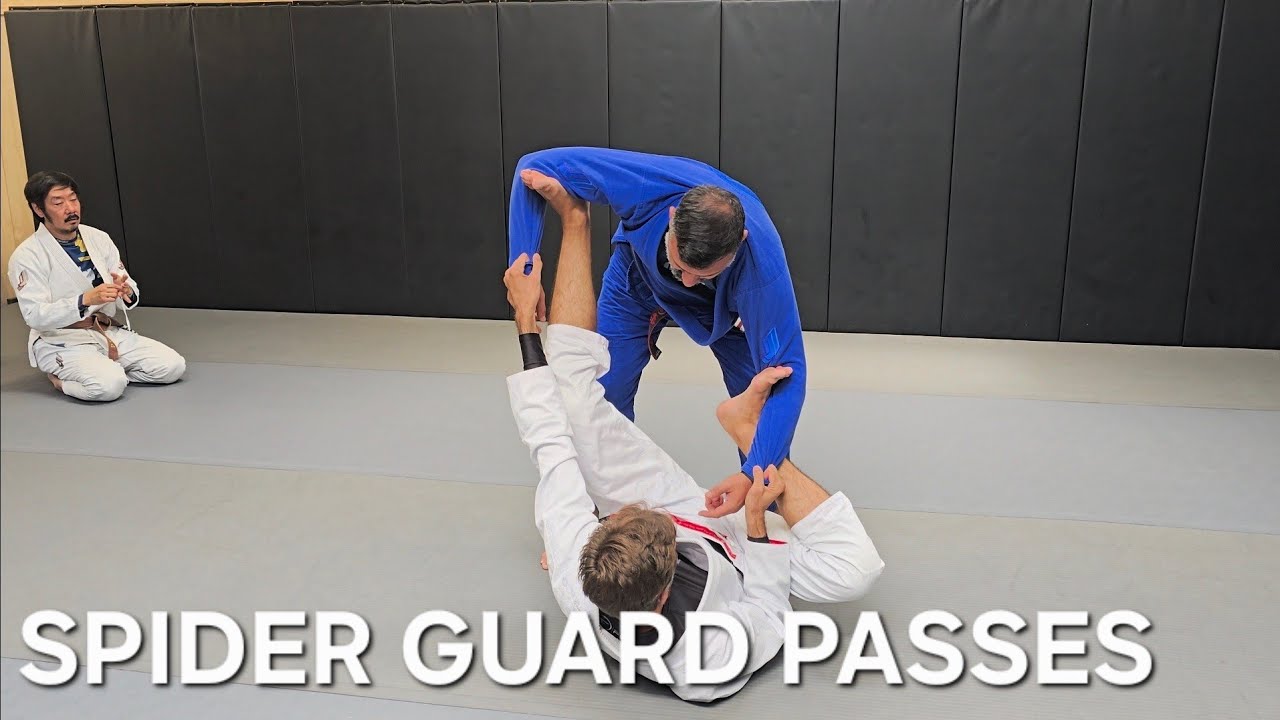 Spider Guard | Passes | 3 Options