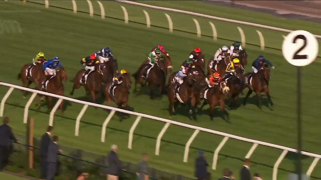 WAR MACHINE - Gilgai Stakes 2025 (3 года и старше SWP G2), Группа 2, Флемингтон, 4 октября