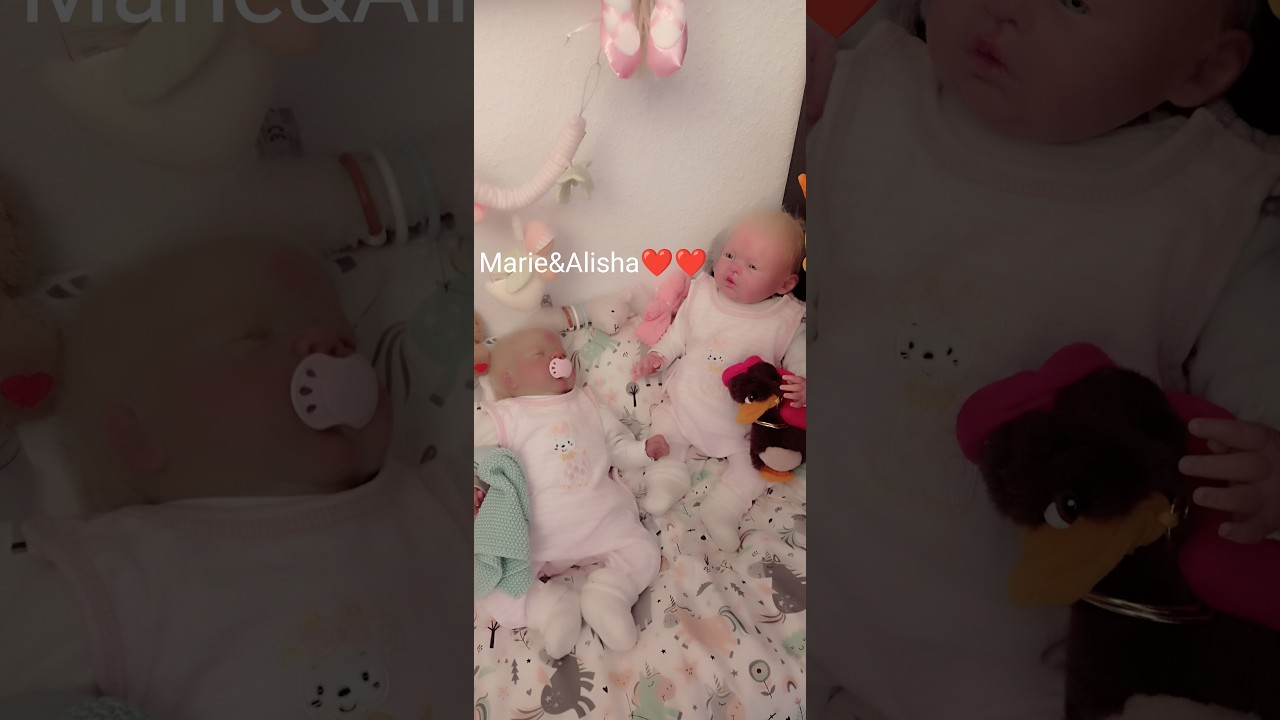 Zwillinge? und was ich so alles für meine Rebornbabys gekauft habe.