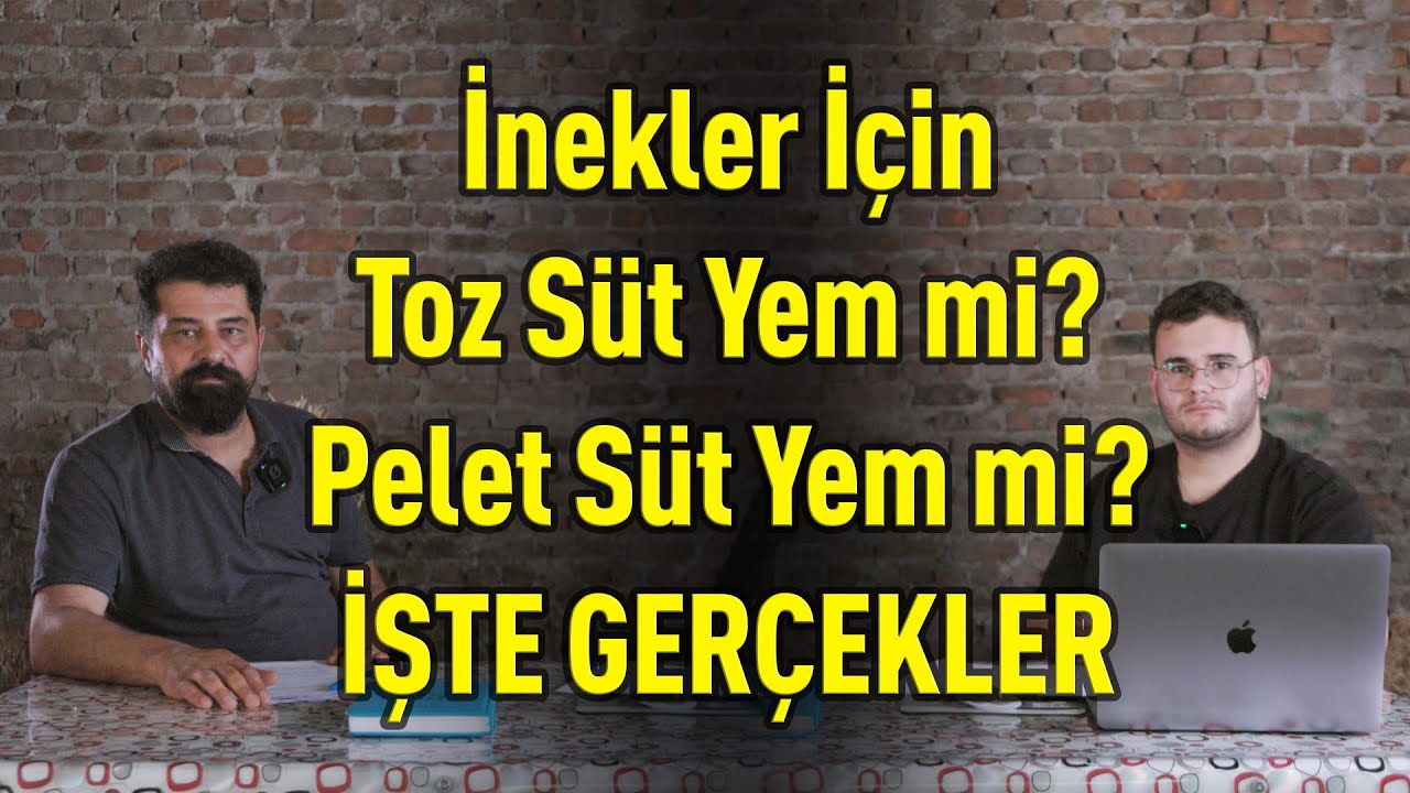 İnekler İçin Toz Süt Yem mi Pelet Süt Yem mi? İşte Gerçekler! 🥛🐄
