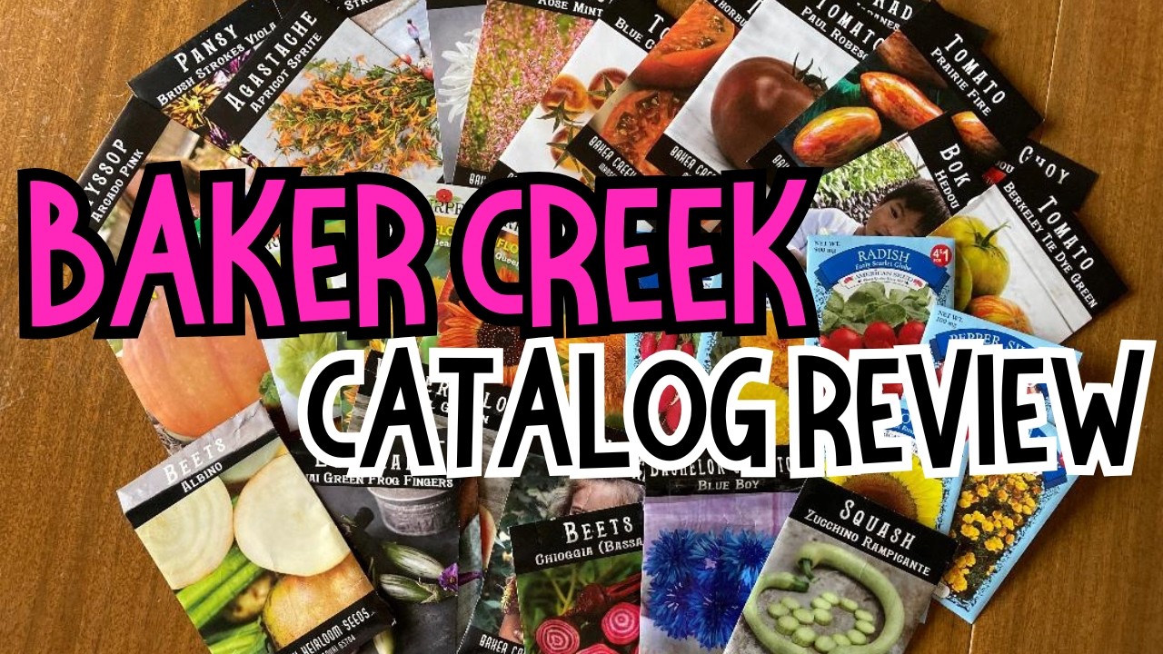 Reviewing my Baker Creek catalog order from Baker Creek Heirloom Seeds. #bakercreek #bakercreekseeds