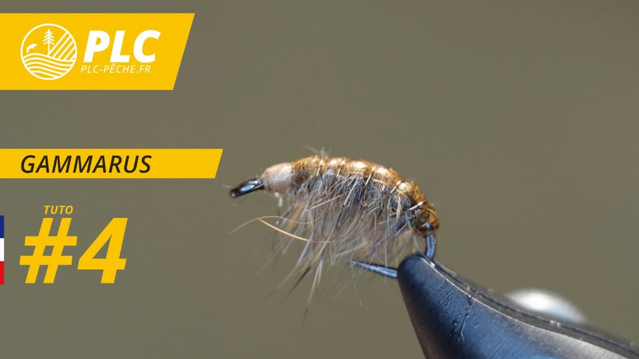 Montage mouche PLC-PECHE.FR | #4 Gammarus