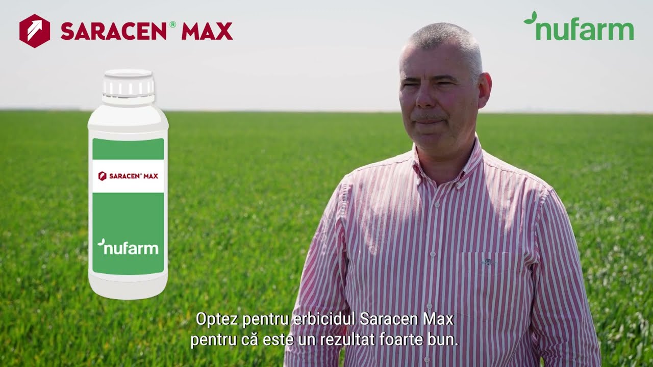 Saracen Max - feedback Adiflora SRL (cultura de grâu)