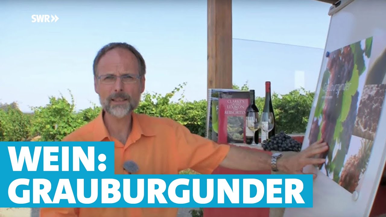 Werner erkl&auml;rt Wein: Grauburgunder