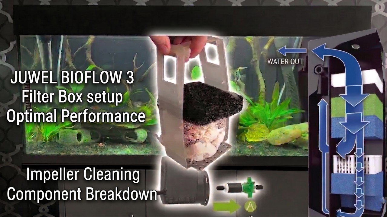 Best JUWEL Bioflow Filter M L RIO/VISION Aquarium Fish Tank Biomedia setup