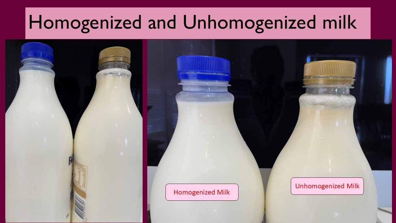 Do you know the difference between Homogenized and unhomogenized milk