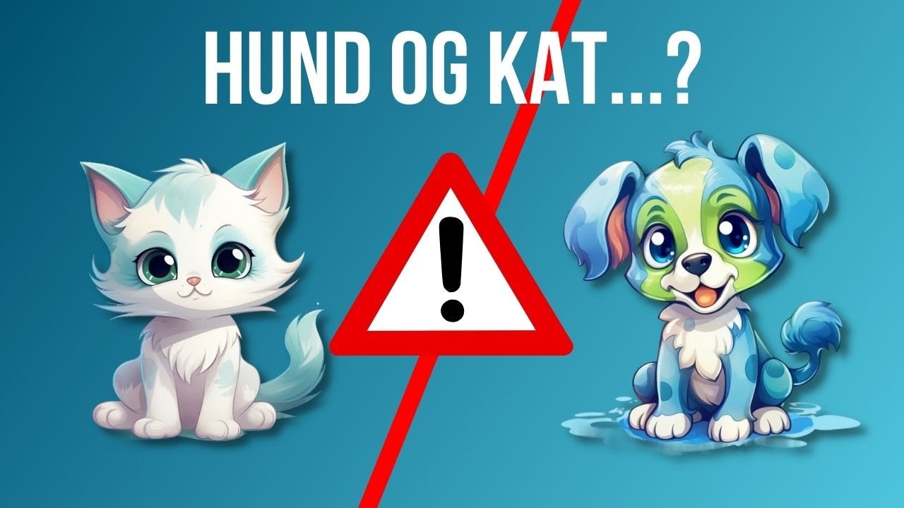 Sammenf&oslash;ring af en hund og kat: Vejledning i sp&oslash;rg dyrl&aelig;gens dyrebrevkasse