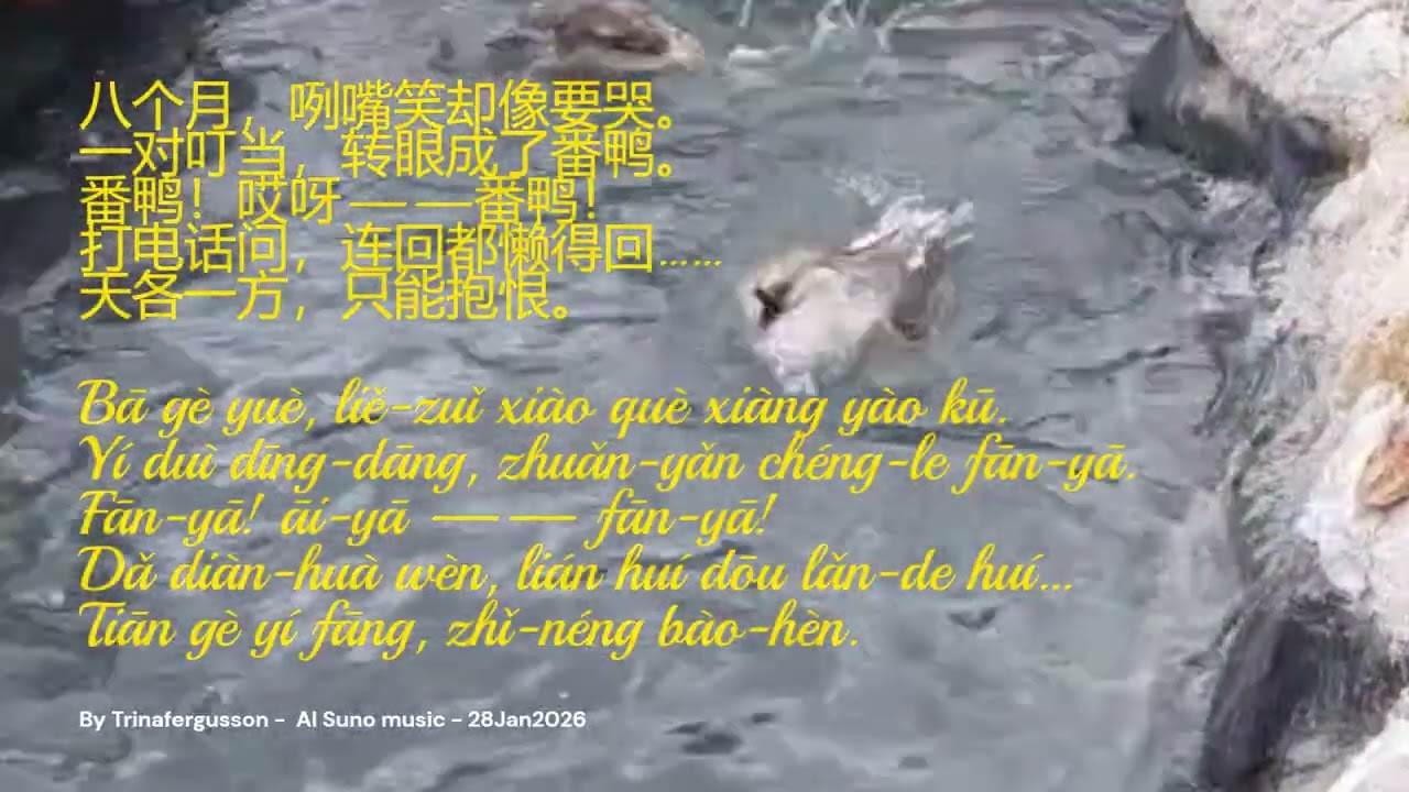 鹅的信任 LÒNG TIN CON NGỖNG