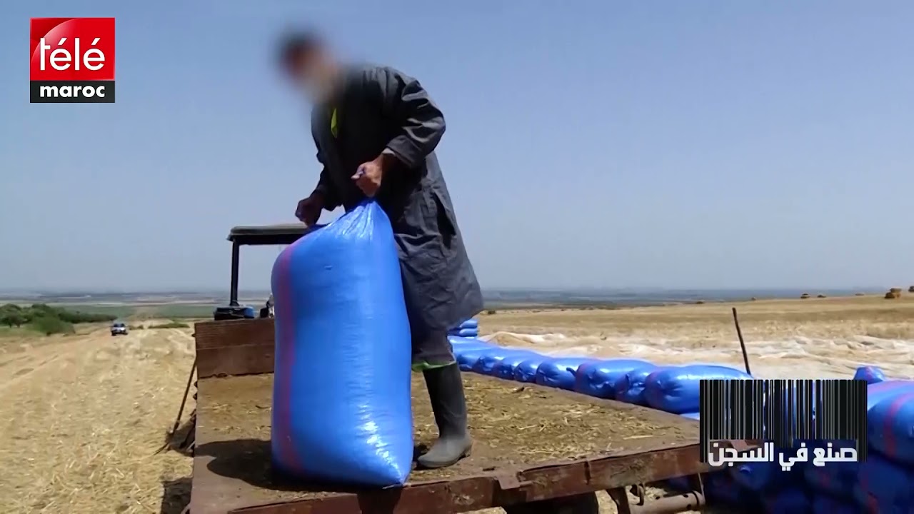 صنع في السجن: ورش العمل في الضيعات الفلاحية لتسهيل إدماج المعتقلين بعد إنتهاء محكوميتهم