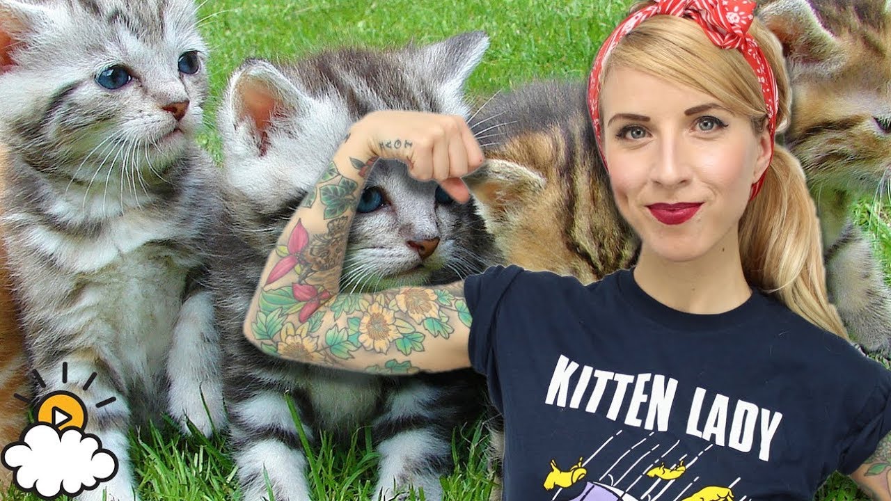 Meet Hannah Shaw, The Kitten Lady!