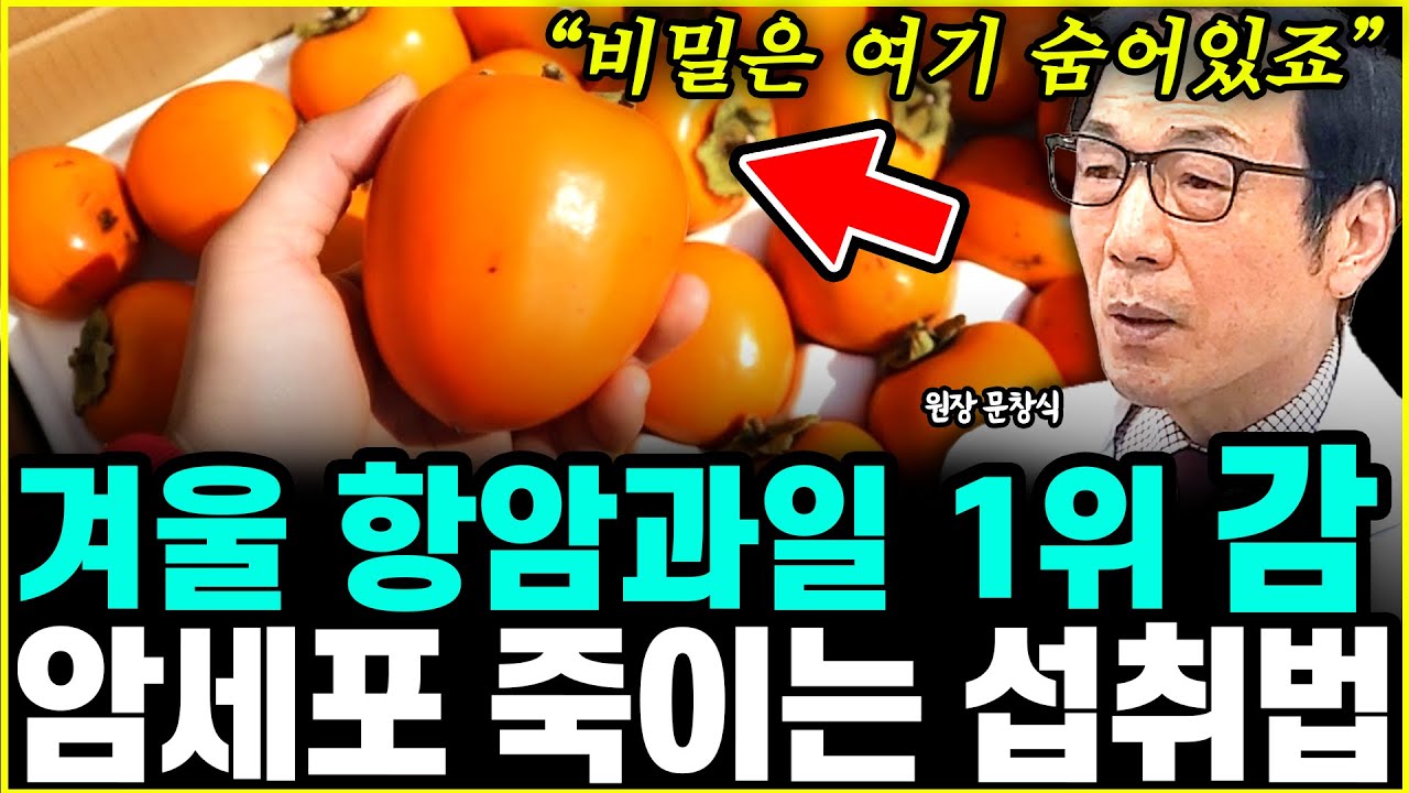 겨울엔 꼭 '감'을 드세요. 암세포 꽁꽁 얼릴 최고의 기회입니다. l의사 문창식(통합)